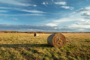 Hay bales in a field that could cause common farm accidents. 
